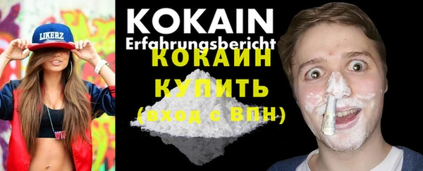 индика Белокуриха