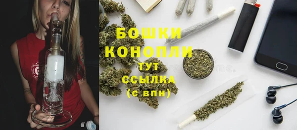 индика Белокуриха