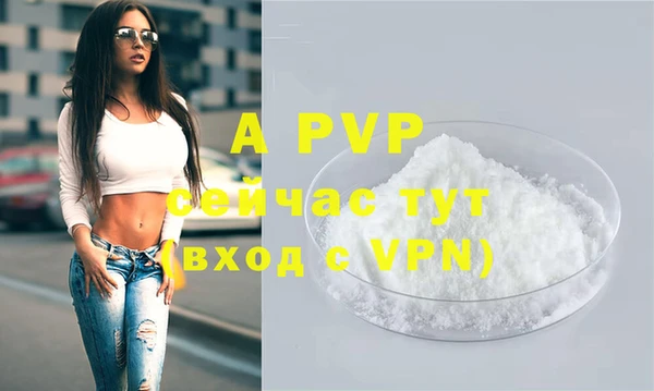 индика Белокуриха