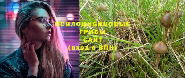 индика Белокуриха