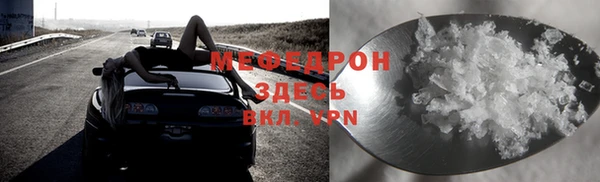 индика Белокуриха