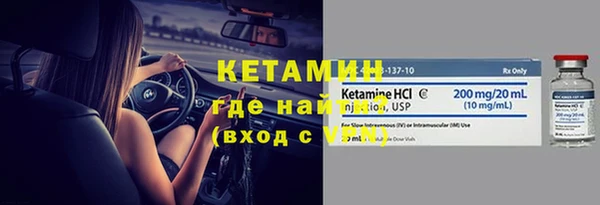 индика Белокуриха