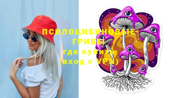 индика Белокуриха