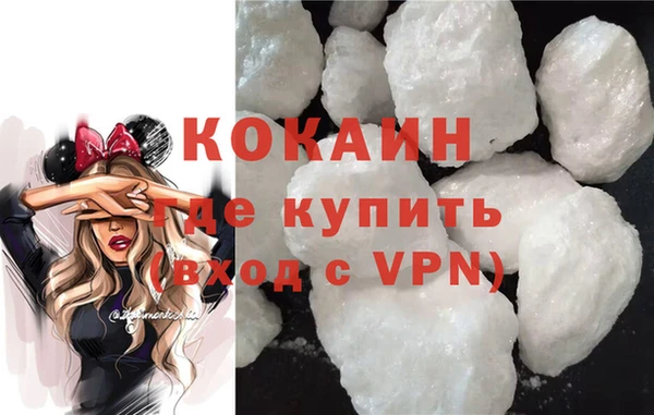 индика Белокуриха