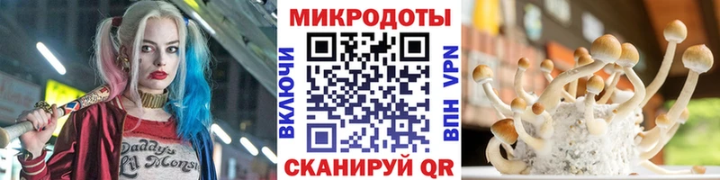 где найти Великие Луки Галлюциногенные грибы Cubensis